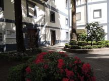 Instalaciones - Patio de palmeras y entrada principal