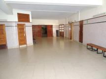 Instalaciones - Patio de palmeras y entrada principal