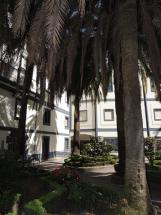 Instalaciones - Patio de palmeras y entrada principal