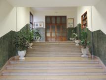 Instalaciones - Patio de palmeras y entrada principal