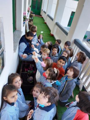 EN INFANTIL CULTIVAMOS LA PAZ  - Foto 10
