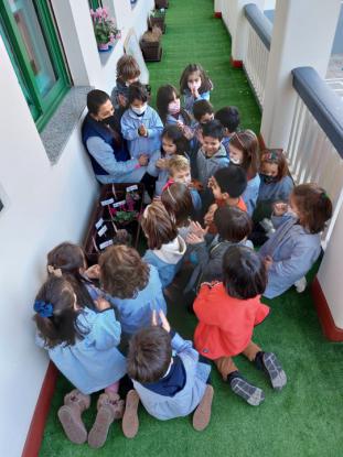 EN INFANTIL CULTIVAMOS LA PAZ  - Foto 11