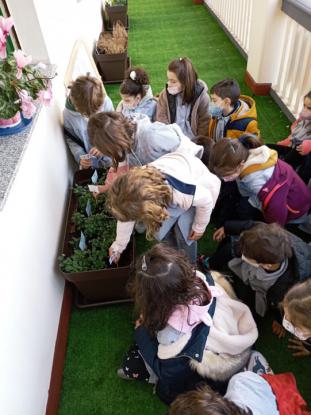 EN INFANTIL CULTIVAMOS LA PAZ  - Foto 12