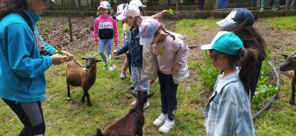 EXCURSIN 6 DE INFANTIL - Foto 27
