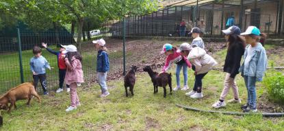 EXCURSIN 6 DE INFANTIL - Foto 31