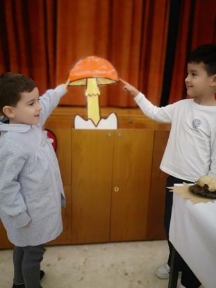 EXPOSICION MICOL�GICA 2023 - Foto 8