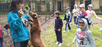 EXCURSIN 6 DE INFANTIL - Foto 34