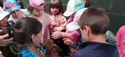 EXCURSIN 6 DE INFANTIL - Foto 28
