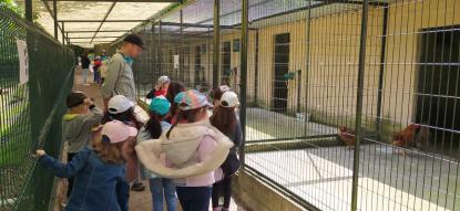 EXCURSIN 6 DE INFANTIL - Foto 36