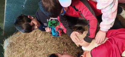 EXCURSIN 6 DE INFANTIL - Foto 35
