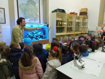 LOS ALUMNOS DE 6 DE INFANTIL VISITAN EL ACUARIO - Foto 4