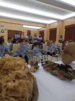 EXPOSICION MICOL�GICA 2023 - Foto 5