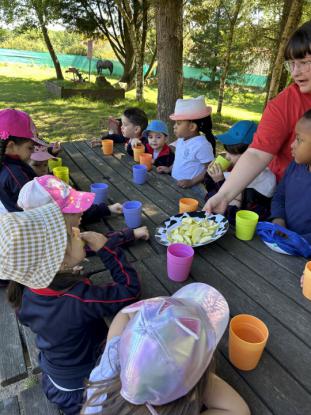 EXCURSIONES INFANTIL Y PRIMARIA - Foto 6