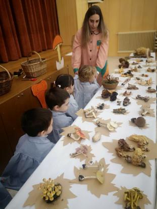 EXPOSICION MICOL�GICA 2023 - Foto 7