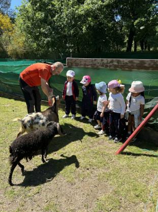 EXCURSIONES INFANTIL Y PRIMARIA - Foto 10