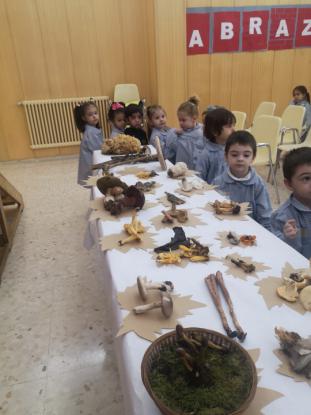 EXPOSICION MICOL�GICA 2023 - Foto 9