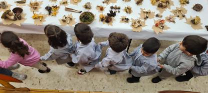 EXPOSICION MICOL�GICA 2023 - Foto 4