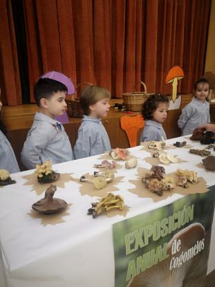 EXPOSICION MICOL�GICA 2023 - Foto 11