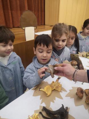 EXPOSICION MICOL�GICA 2023 - Foto 12