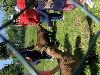 EXCURSIONES INFANTIL Y PRIMARIA - Foto 12
