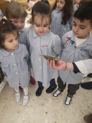 EXPOSICION MICOL�GICA 2023 - Foto 13