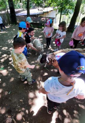 FERVENZA AVENTURA (5 ED. INFANTIL) - Foto 14