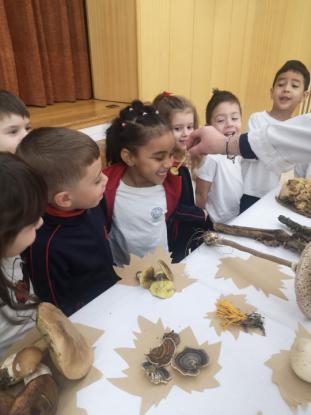 EXPOSICION MICOL�GICA 2023 - Foto 15