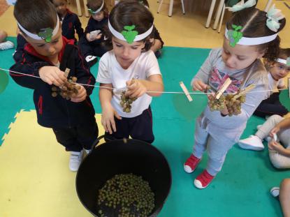 OTOO Y VENDIMIA - Foto 15