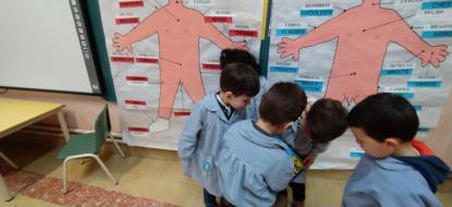 EL CUERPO HUMANO - Foto 14
