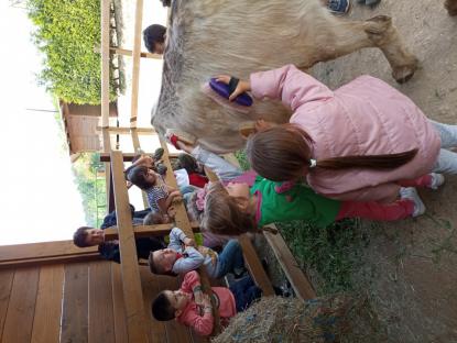 EXCURSIN DE 5 DE INFANTIL - Foto 8