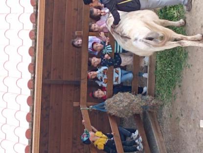 EXCURSIN DE 5 DE INFANTIL - Foto 4