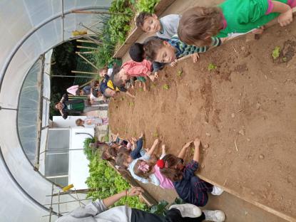 EXCURSIN DE 5 DE INFANTIL - Foto 6