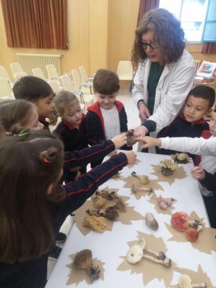 EXPOSICION MICOL�GICA 2023 - Foto 26