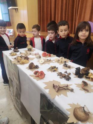 EXPOSICION MICOL�GICA 2023 - Foto 32