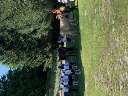 EXCURSIONES INFANTIL Y PRIMARIA - Foto 18