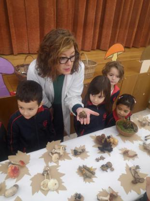 EXPOSICION MICOL�GICA 2023 - Foto 16