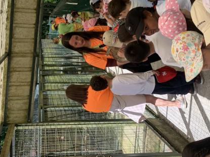 EXCURSIONES INFANTIL Y PRIMARIA - Foto 19