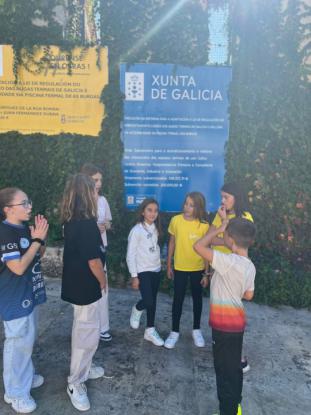 MSJ - Foto 17