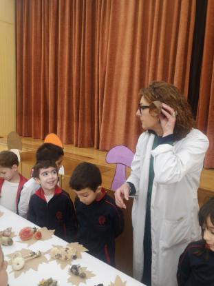 EXPOSICION MICOL�GICA 2023 - Foto 21