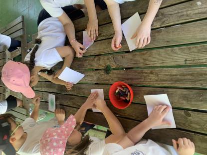 EXCURSIONES INFANTIL Y PRIMARIA - Foto 20