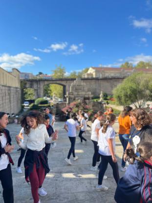 MSJ - Foto 18