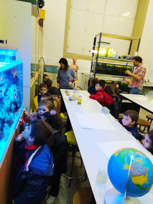 VISITA AL ACUARIO DEL IES OTERO PEDRAYO - 5 INFANTIL - Foto 3