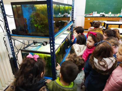 VISITA AL ACUARIO DEL IES OTERO PEDRAYO - 5 INFANTIL - Foto 8