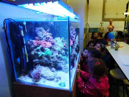 VISITA AL ACUARIO DEL IES OTERO PEDRAYO - 5 INFANTIL - Foto 6