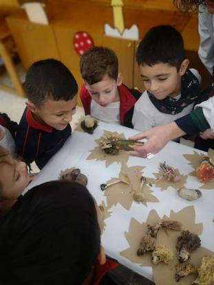 EXPOSICION MICOL�GICA 2023 - Foto 31