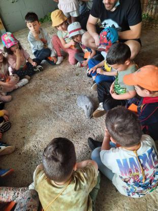 FERVENZA AVENTURA (5 ED. INFANTIL) - Foto 23