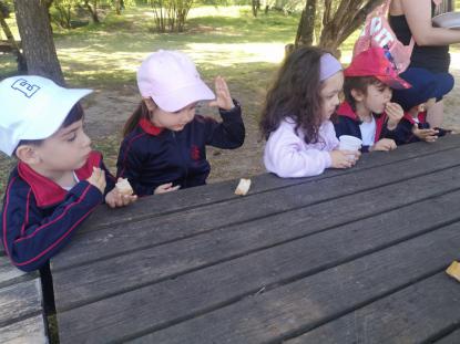 EXCURSIN 4 ED. INFANTIL - Foto 24