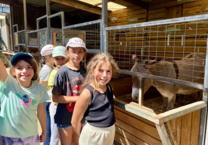 EXCURSIONES INFANTIL Y PRIMARIA - Foto 27