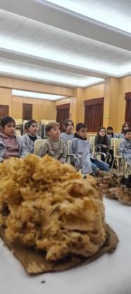 EXPOSICION MICOL�GICA 2023 - Foto 24