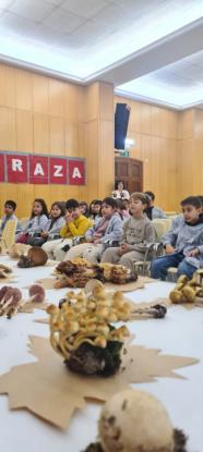 EXPOSICION MICOL�GICA 2023 - Foto 25